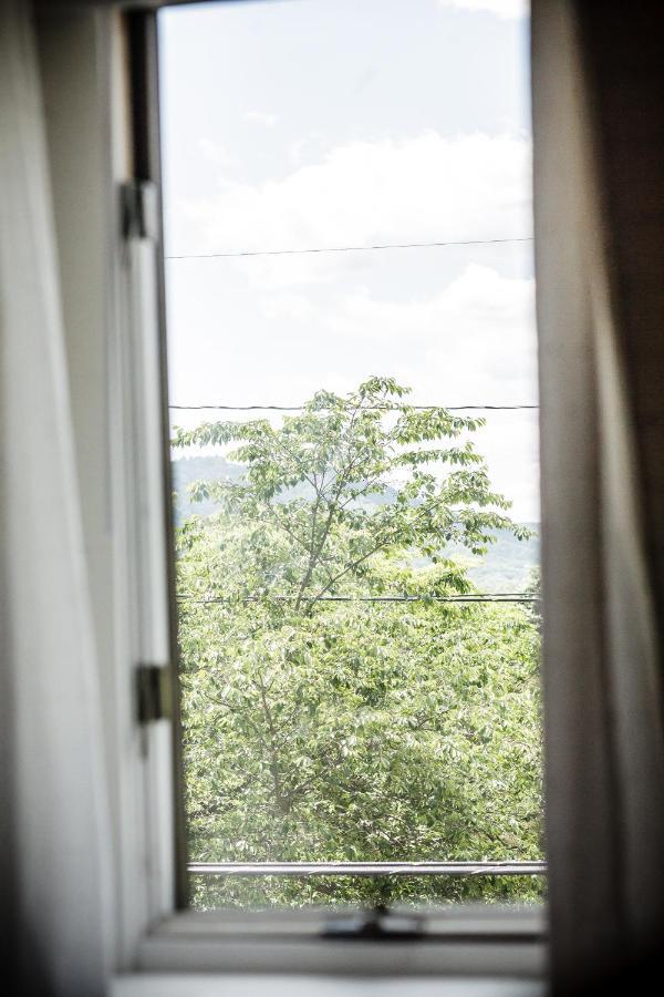Fairytale Loft Suite 1 Bed, 1 Bath Luxury Apartment In Downtown Belmont シャーロッツビル エクステリア 写真
